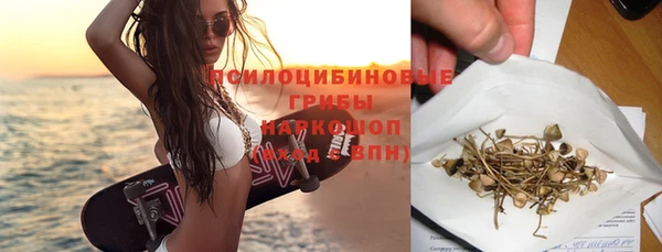 ГАЛЛЮЦИНОГЕННЫЕ ГРИБЫ Коряжма