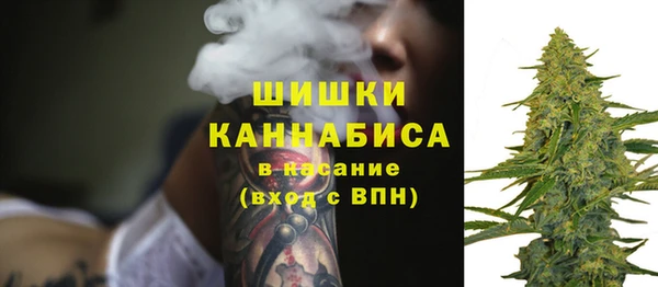 твердый Корсаков