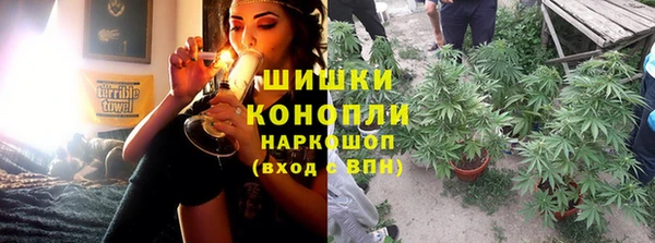 ГАЛЛЮЦИНОГЕННЫЕ ГРИБЫ Коряжма