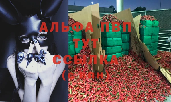 твердый Корсаков