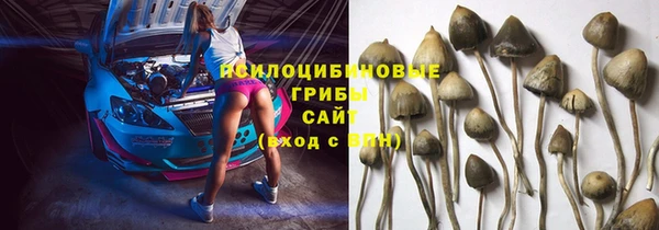 ГАЛЛЮЦИНОГЕННЫЕ ГРИБЫ Коряжма