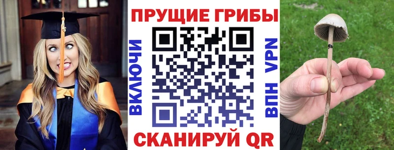 Псилоцибиновые грибы MAGIC MUSHROOMS  где продают наркотики  Лукоянов 